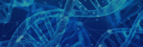 Advances in Experimental Tools and Methodologies for Screening Enzyme Functions II