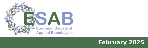 Experimental Tools and Methodologies for Screening Enzyme Functions